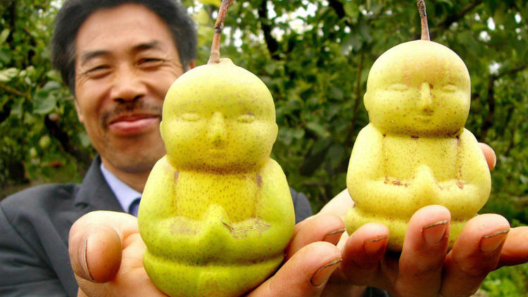 Fruta en japón: Peras con forma de Buda