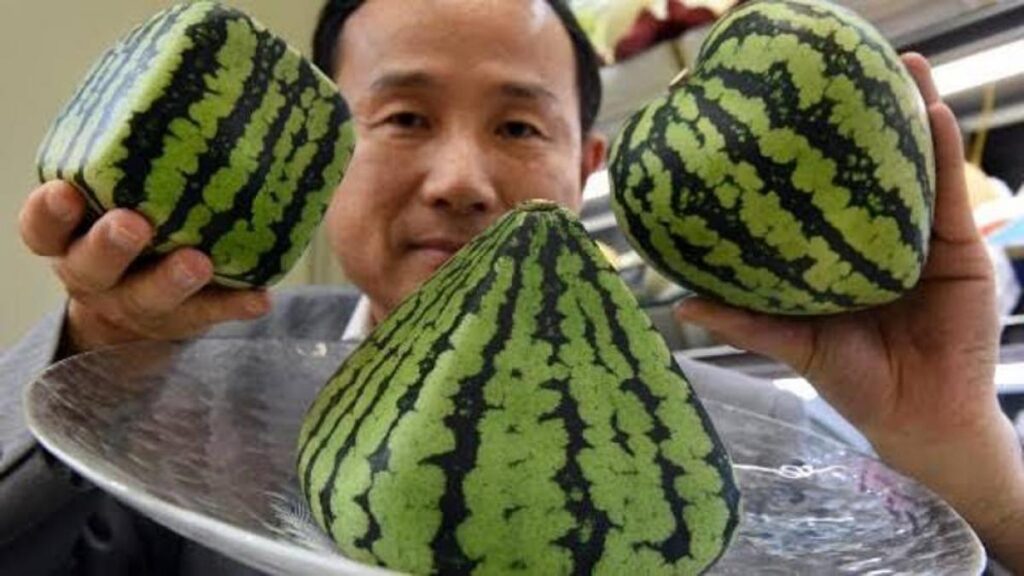 sandías japonesas con formas