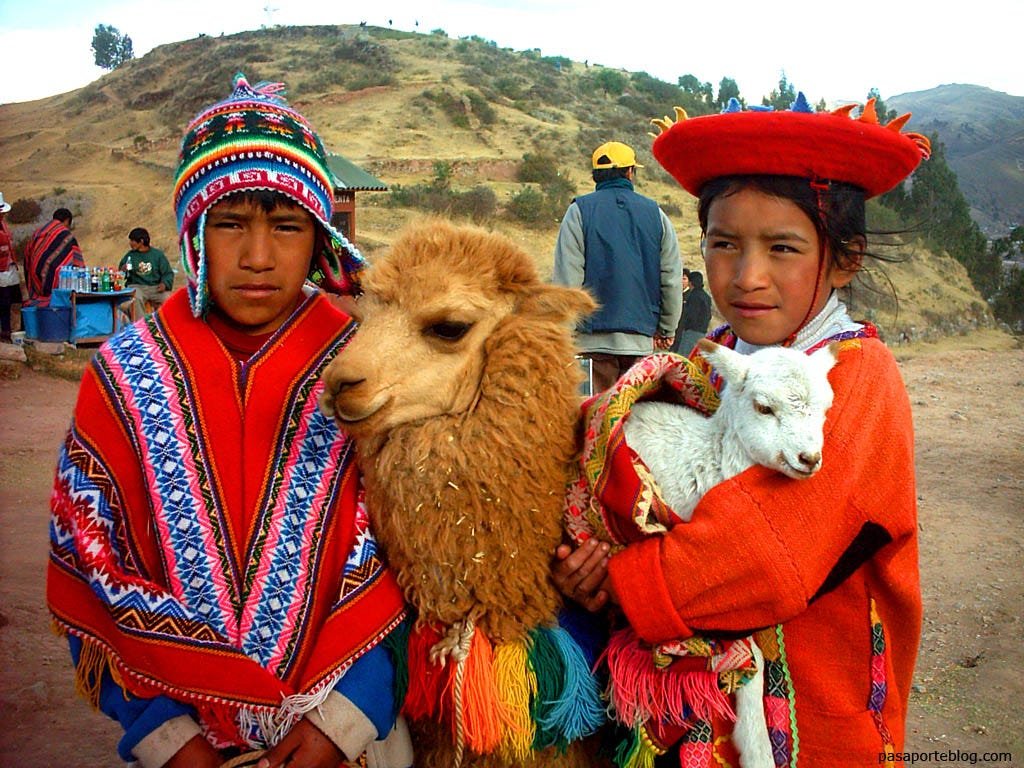Noa Argentino. Diseño Local, indumentaria, llama